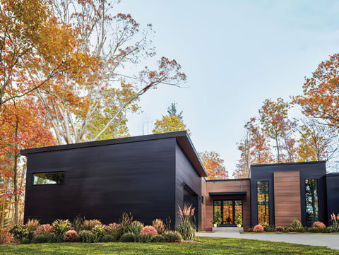 Metal Siding Metalico